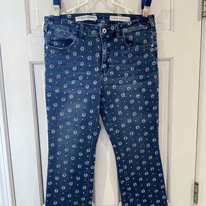 Anthropologie Pilcro Jeans High Rise BootCut Crop